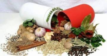 WhatsApp Image 2024-11-25 at 18.16.14 (2)