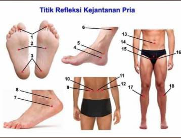 WhatsApp Image 2024-11-25 at 18.16.15 (1)