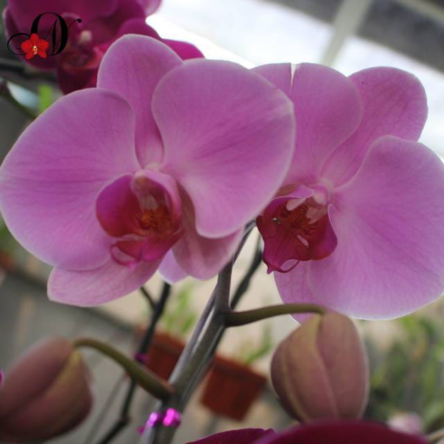 WhatsApp Image 2024-12-01 at 13.53.08 (3)