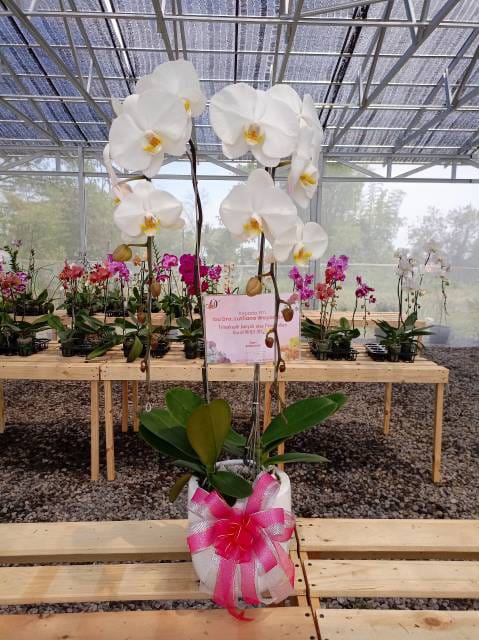 WhatsApp Image 2024-12-01 at 13.53.08