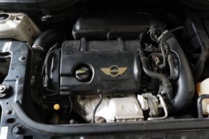 WhatsApp Image 2024-12-10 at 19.57.43 (1)