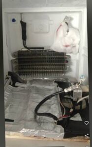 WhatsApp Image 2024-12-12 at 08.18.56 (1)