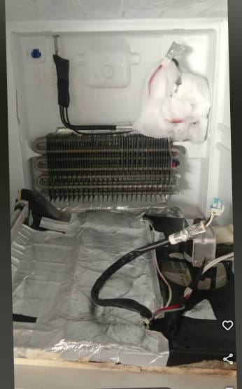 WhatsApp Image 2024-12-12 at 08.18.56 (1)