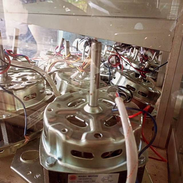 WhatsApp Image 2024-12-17 at 16.12.36