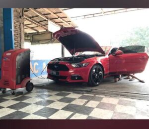 WhatsApp Image 2025-01-03 at 17.59.58