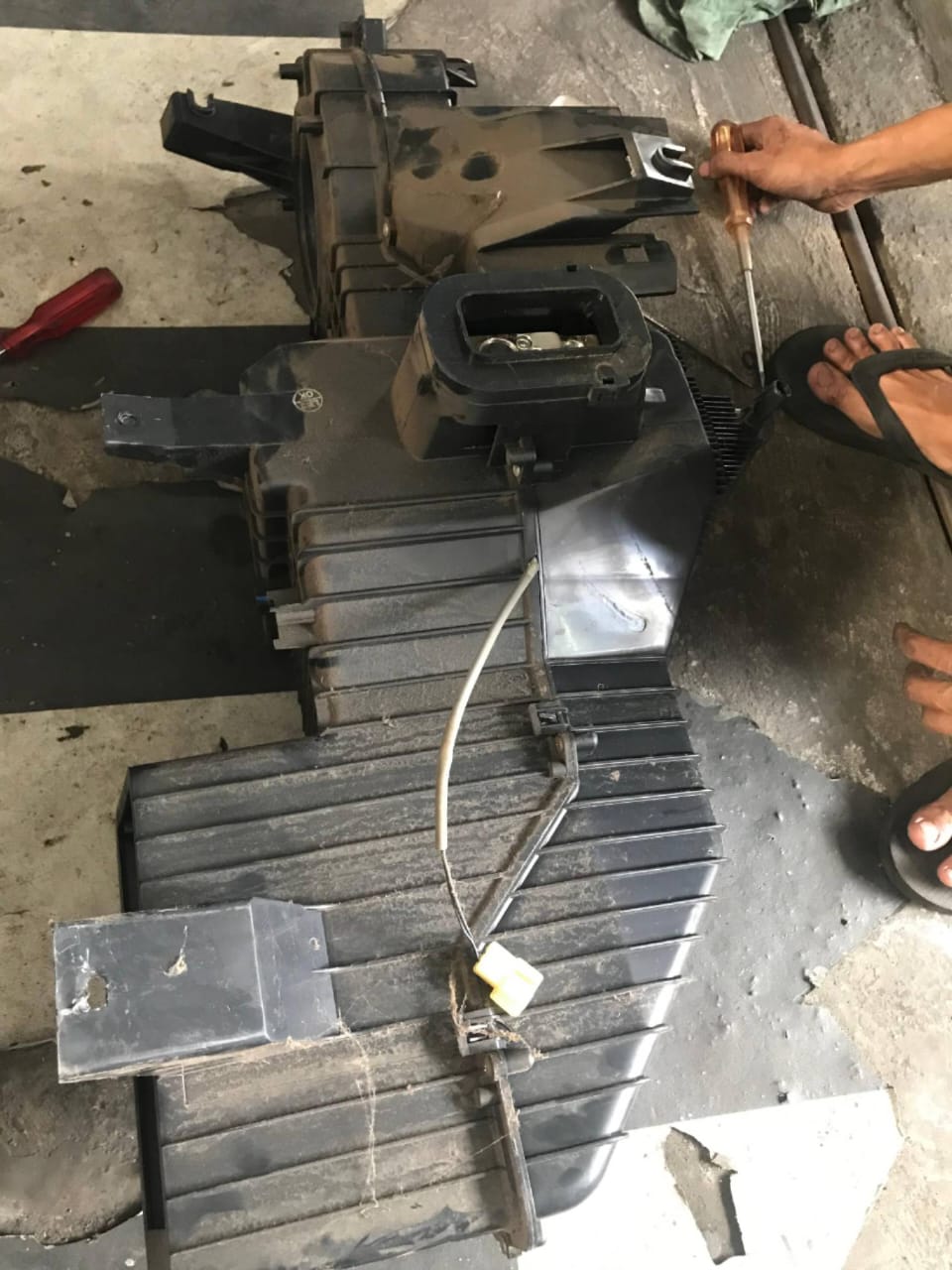 WhatsApp Image 2025-01-03 at 18.00.02