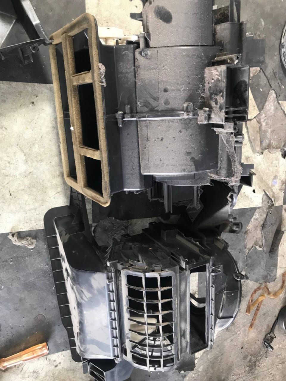 WhatsApp Image 2025-01-03 at 18.00.03