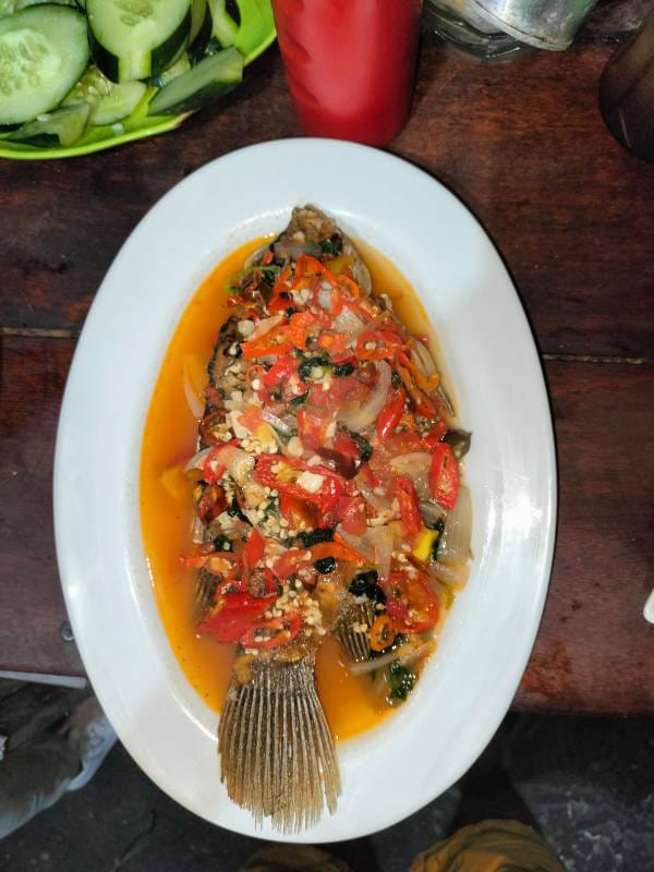 WhatsApp Image 2025-01-19 at 09.26.23 (3)