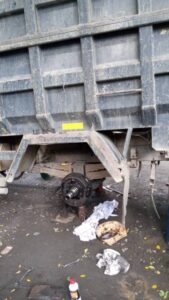 WhatsApp Image 2025-01-24 at 18.52.02