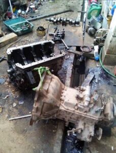 WhatsApp Image 2025-01-28 at 19.49.48