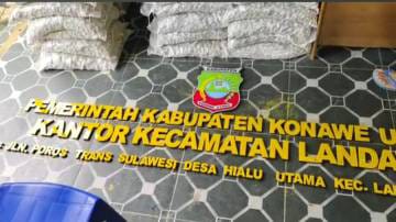WhatsApp Image 2025-01-31 at 18.21.43 (2)
