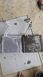 WhatsApp Image 2025-02-02 at 06.03.04