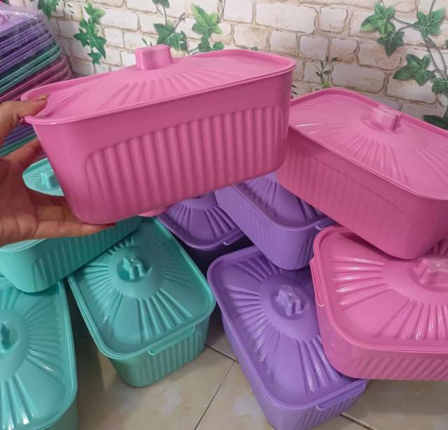 WhatsApp Image 2025-02-02 at 06.46.23