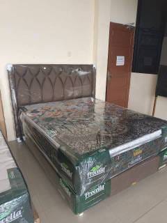 WhatsApp Image 2025-02-02 at 07.43.59