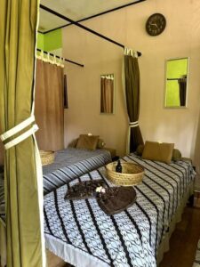 WhatsApp Image 2025-02-02 at 17.37.46