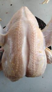 WhatsApp Image 2025-02-07 at 15.39.18