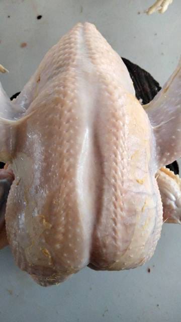 WhatsApp Image 2025-02-07 at 15.39.18