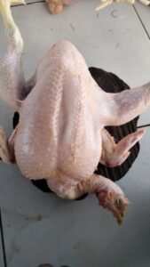 WhatsApp Image 2025-02-07 at 15.39.19 (2)