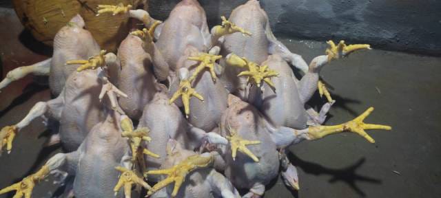 WhatsApp Image 2025-02-07 at 15.39.19