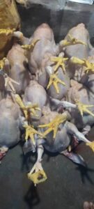 WhatsApp Image 2025-02-07 at 15.39.20 (1)