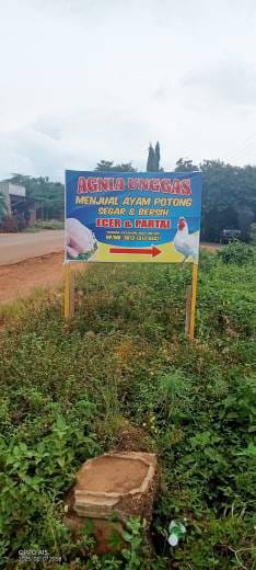 WhatsApp Image 2025-02-07 at 15.39.20 (2)