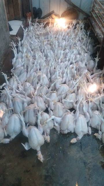 WhatsApp Image 2025-02-07 at 15.39.20