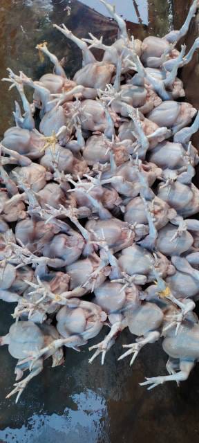 WhatsApp Image 2025-02-07 at 15.39.21 (1)