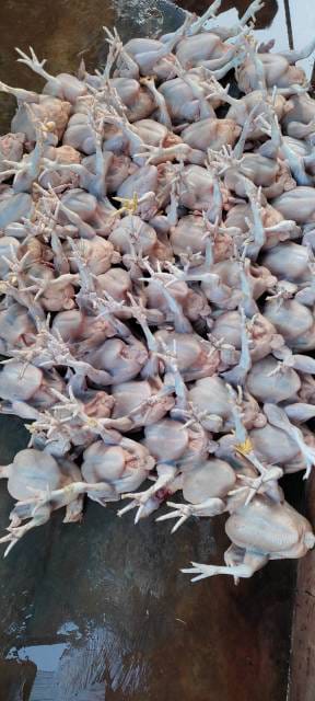 WhatsApp Image 2025-02-07 at 15.39.21