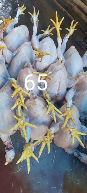 WhatsApp Image 2025-02-07 at 15.39.22 (1)