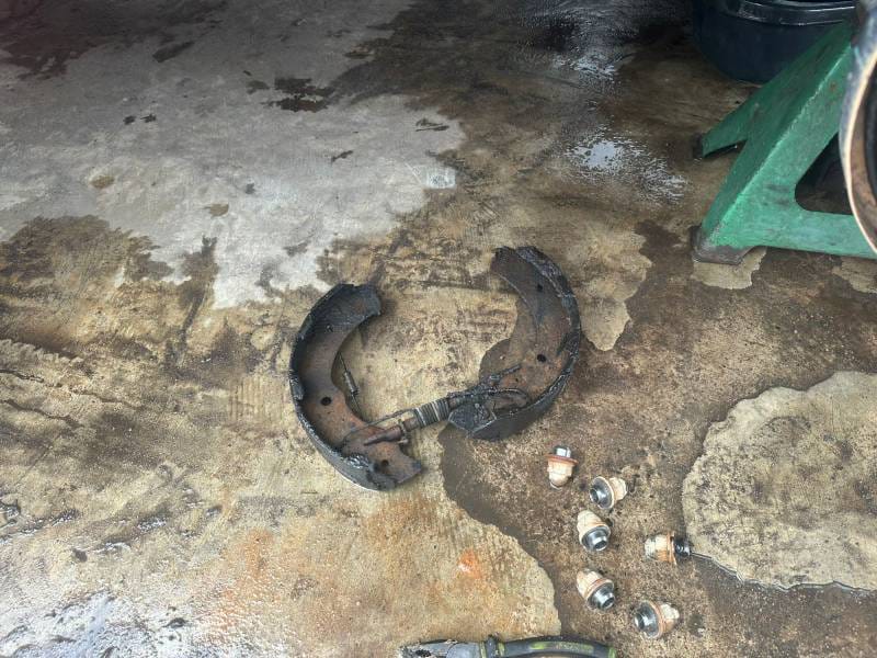 WhatsApp Image 2025-02-12 at 18.16.46 (1)