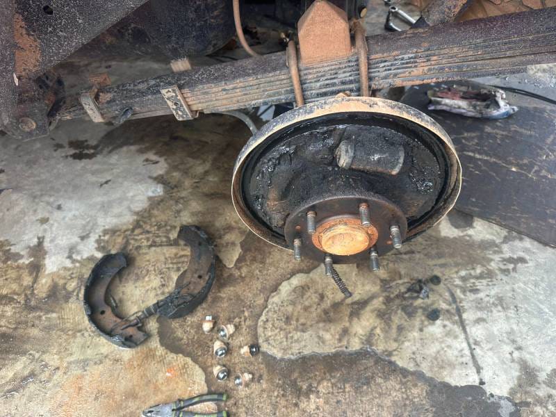 WhatsApp Image 2025-02-12 at 18.16.46 (2)