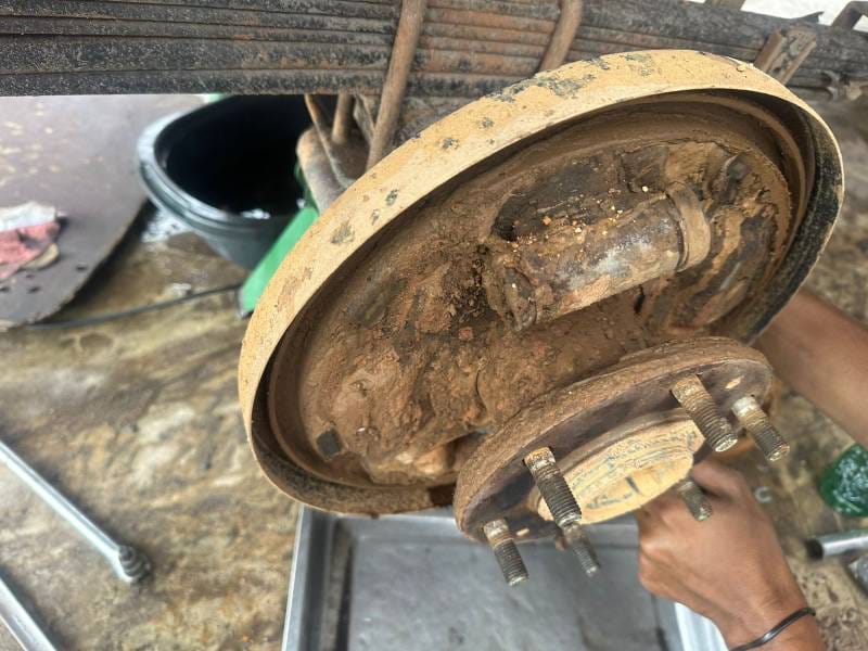 WhatsApp Image 2025-02-12 at 18.16.46