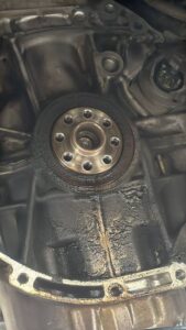 WhatsApp Image 2025-02-12 at 18.16.47