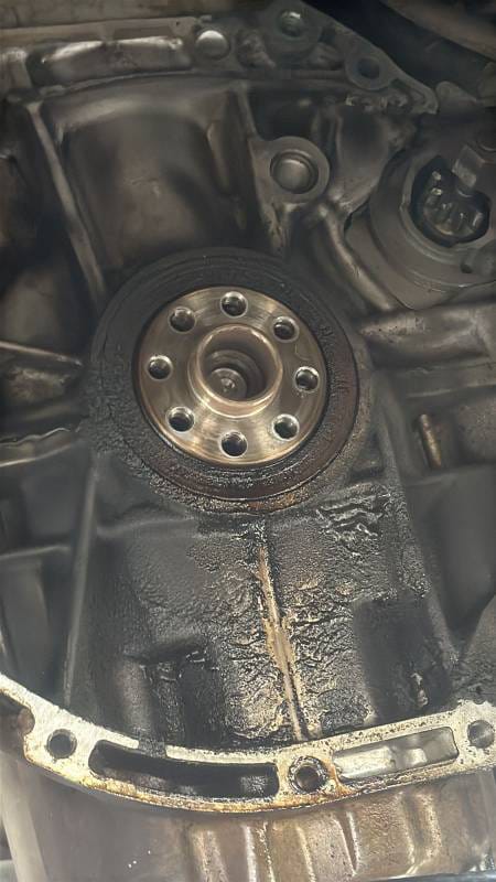 WhatsApp Image 2025-02-12 at 18.16.47