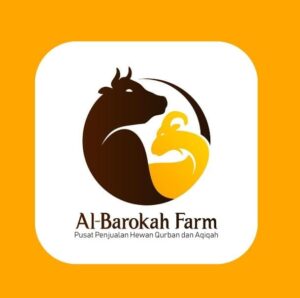 WhatsApp Image 2025-04-30 at 20.35.49