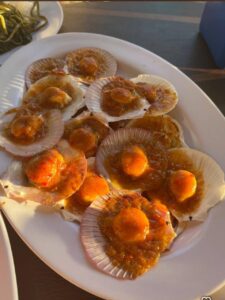 WhatsApp Image 2025-04-30 at 14.35.00