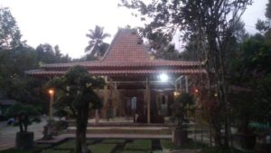 WhatsApp Image 2025-05-01 at 18.11.12