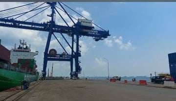 WhatsApp Image 2025-05-23 at 20.15.56 (3)