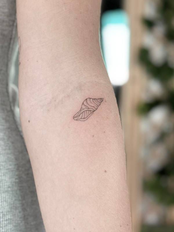 WhatsApp Image 2025-05-31 at 15.24.53 (2)