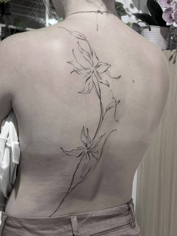 WhatsApp Image 2025-05-31 at 15.24.55 (2)