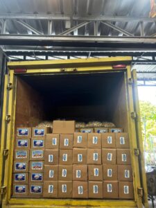 WhatsApp Image 2025-05-31 at 15.26.31 (2)