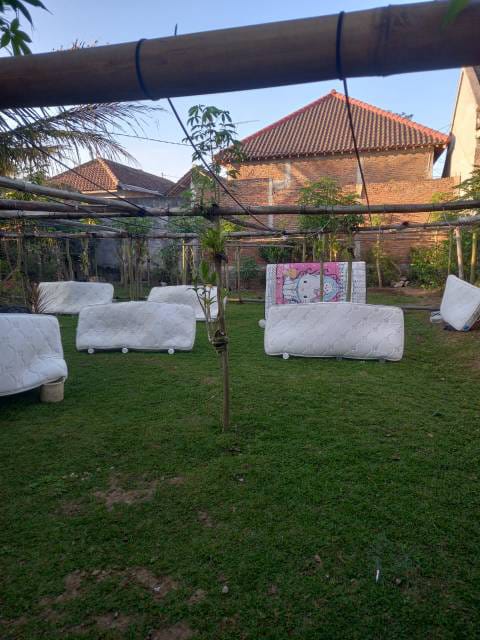 WhatsApp Image 2025-06-30 at 15.59.11 (2)