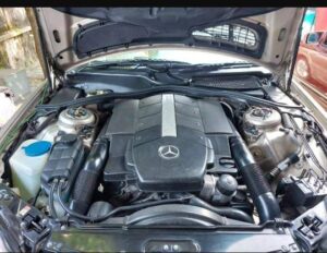 WhatsApp Image 2025-07-16 at 07.28.16