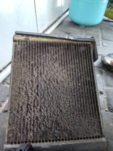 WhatsApp Image 2025-07-27 at 14.42.27