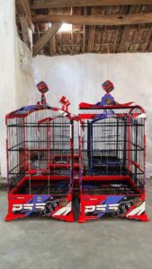 WhatsApp Image 2025-08-05 at 18.10.47 (1)