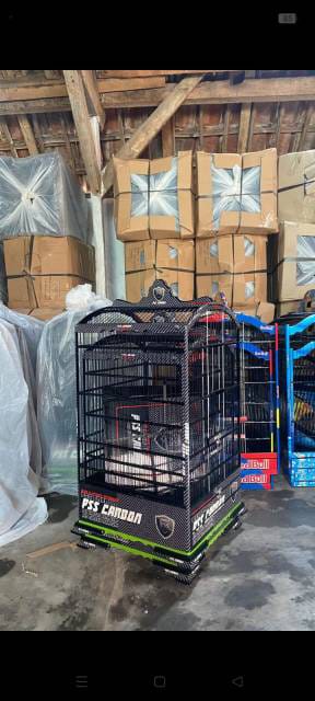 WhatsApp Image 2025-08-05 at 18.10.47 (2)