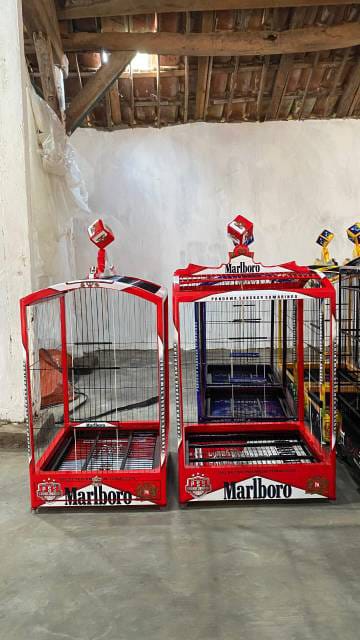 WhatsApp Image 2025-08-05 at 18.10.47