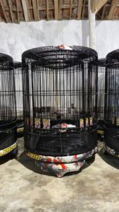 WhatsApp Image 2025-08-05 at 18.10.48 (1)