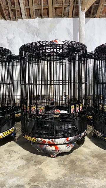 WhatsApp Image 2025-08-05 at 18.10.48 (1)