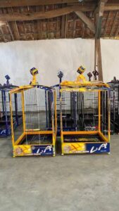 WhatsApp Image 2025-08-05 at 18.10.48